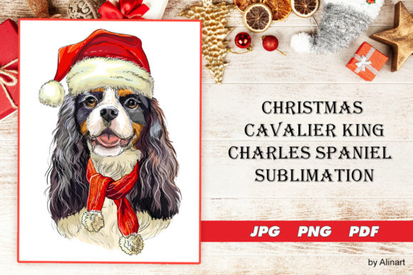 Download Christmas Cavalier King Charles Spaniel - Spaniel Collection