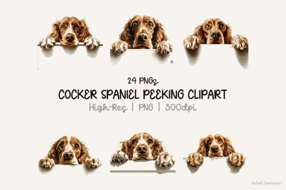 Download Cocker Spaniel Peeking Clipart 24 Png - Spaniel Collection