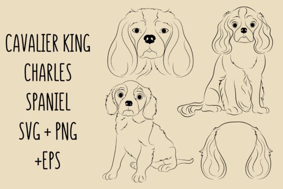Download King Charles Cavalier Spaniel SVG Bundle - Spaniel Collection