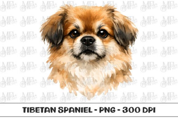Download Tibetan Spaniel Watercolor Portrait PNG - Spaniel Collection