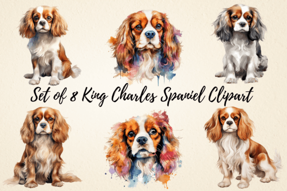 Download Cavalier King Charles Spaniel Clipart - Spaniel Collection